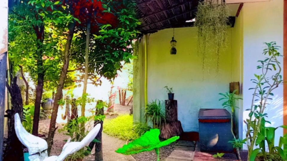 Ekamuthu Homestay Dikwella Ngoại thất bức ảnh