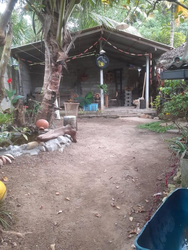 Ekamuthu Homestay Dikwella Phòng bức ảnh