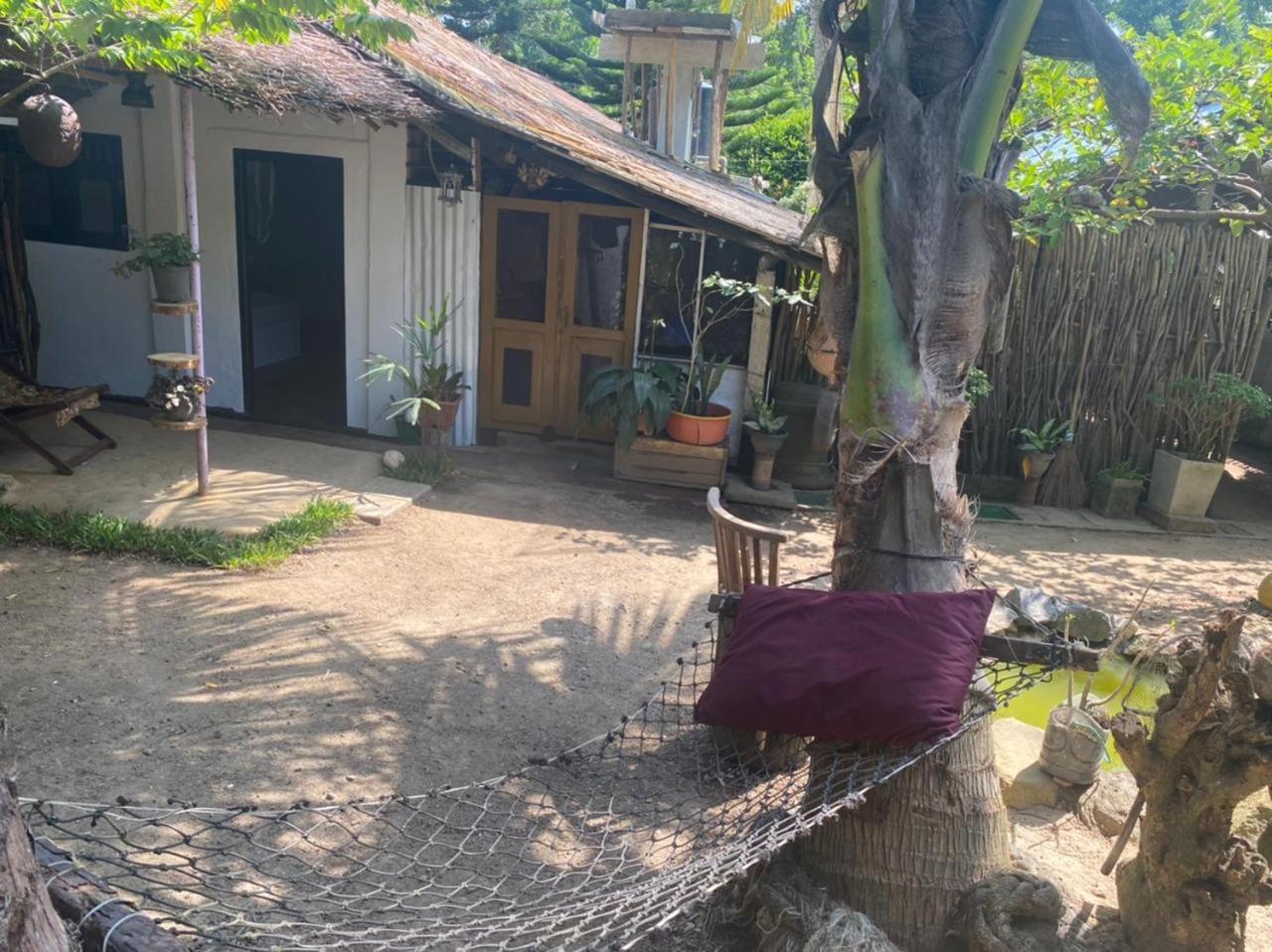 Ekamuthu Homestay Dikwella Phòng bức ảnh